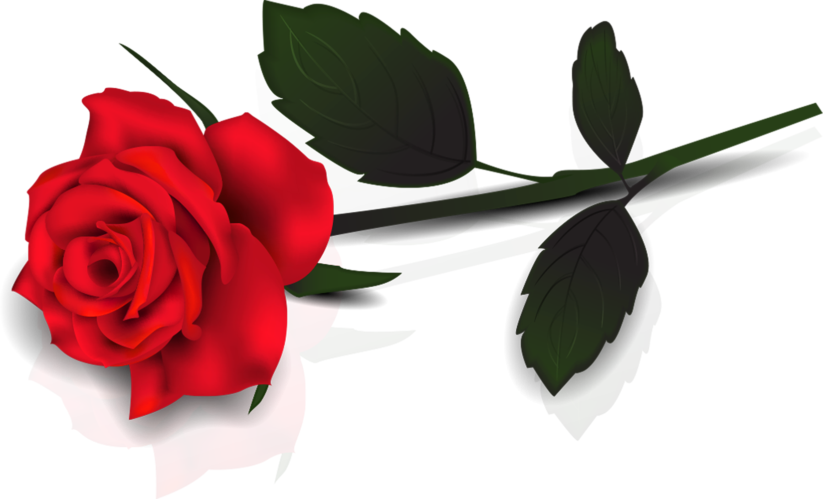 Single Red Rose Transparent PNG Image