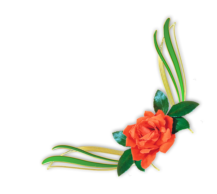 Flower Portable Rose Design Graphics Floral Border PNG Image