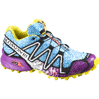 Running Shoes Png Image