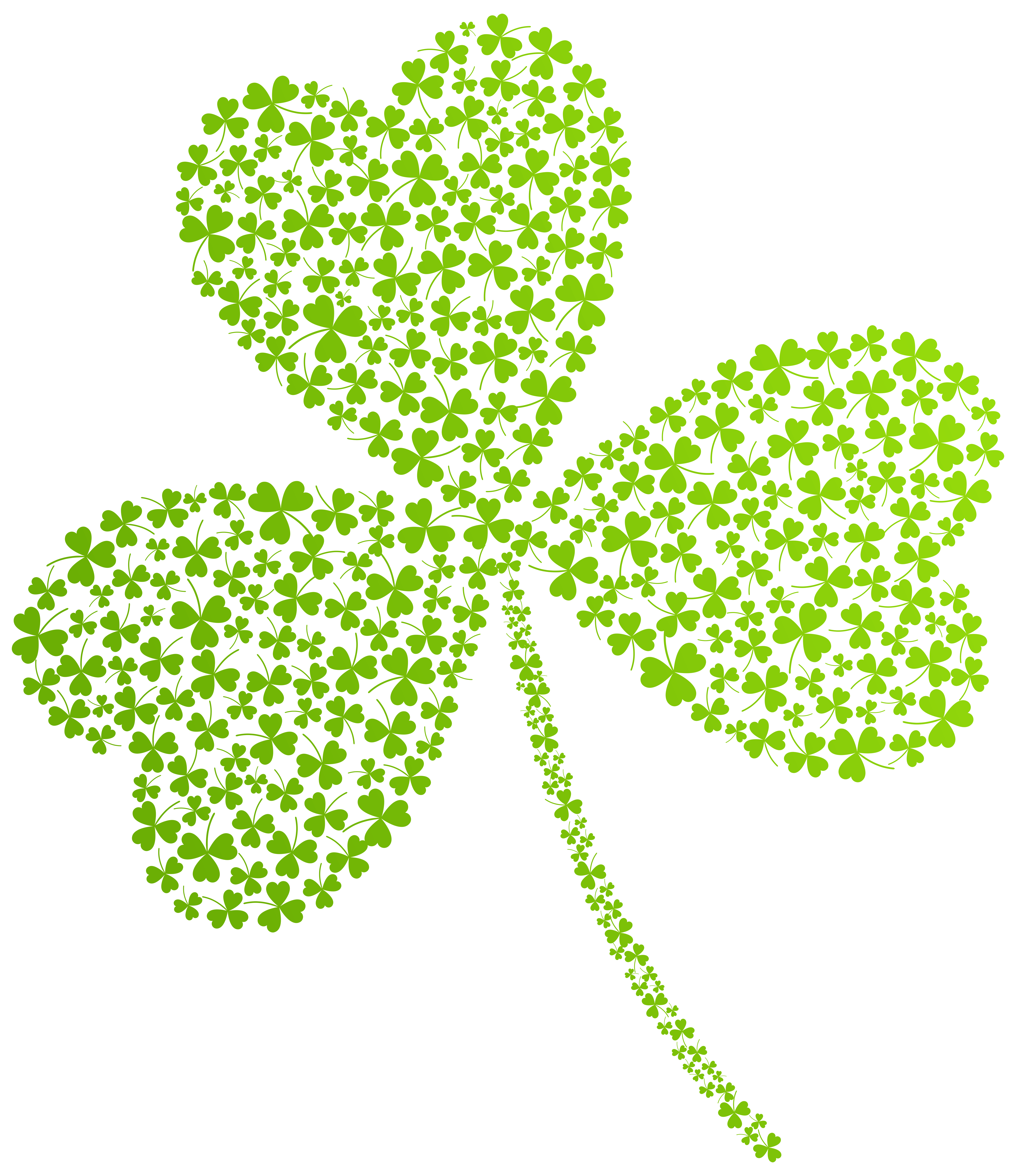 Plant Flora Patrick St Shamrock Shamrocks Saint PNG Image