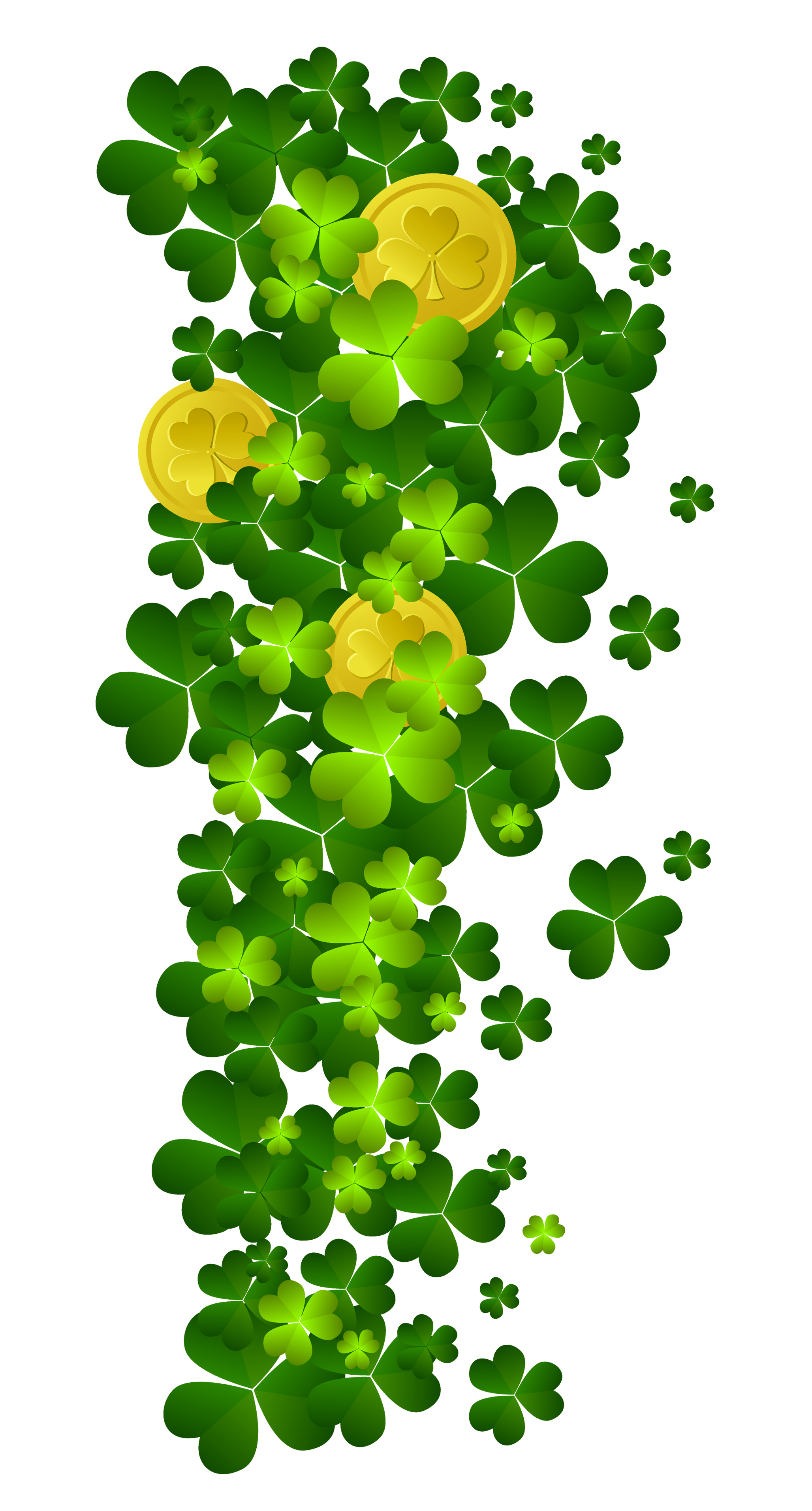 Plant Flora Ireland Patrick Shamrock Saint Day PNG Image