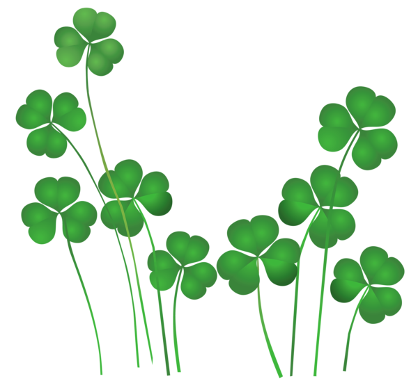 Plant Leaf Ireland St Patricks Shamrocks Saint PNG Image