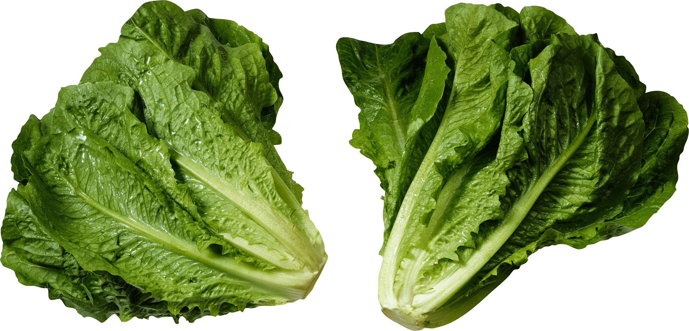 Green Salad Png Image PNG Image