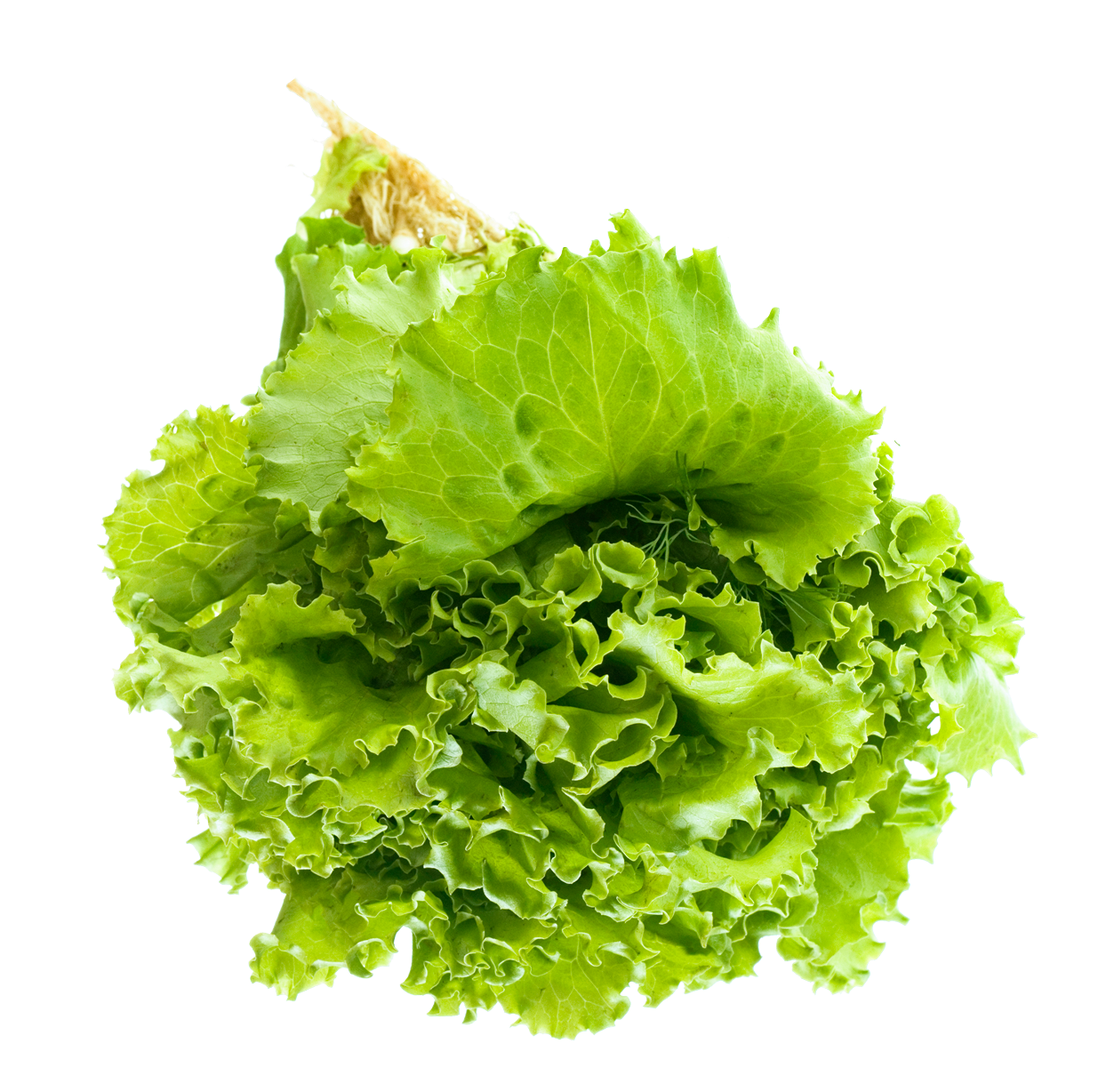 Salad Transparent Image PNG Image