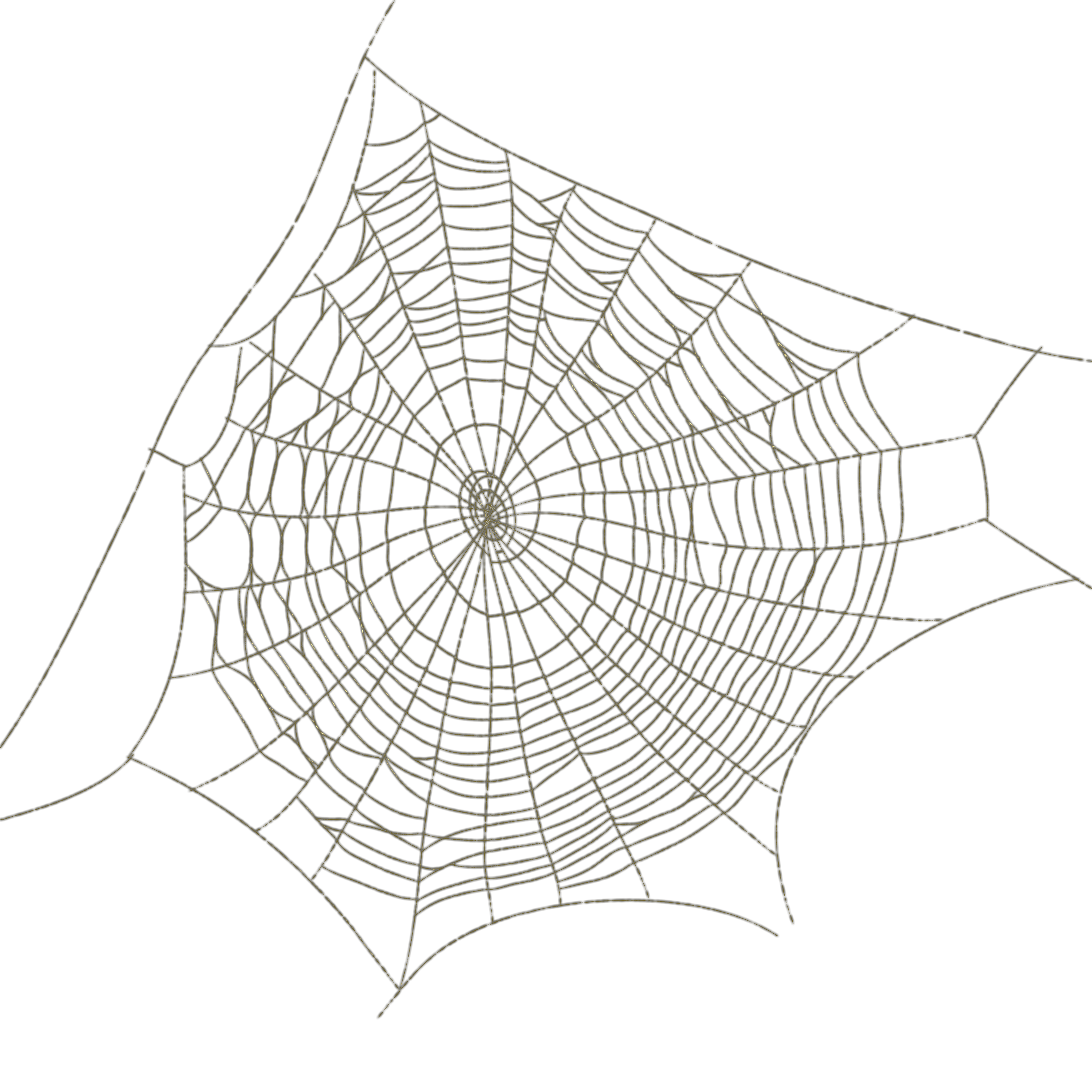 Download Web Angle Spider Drawing Free Frame HQ PNG Image FreePNGImg.