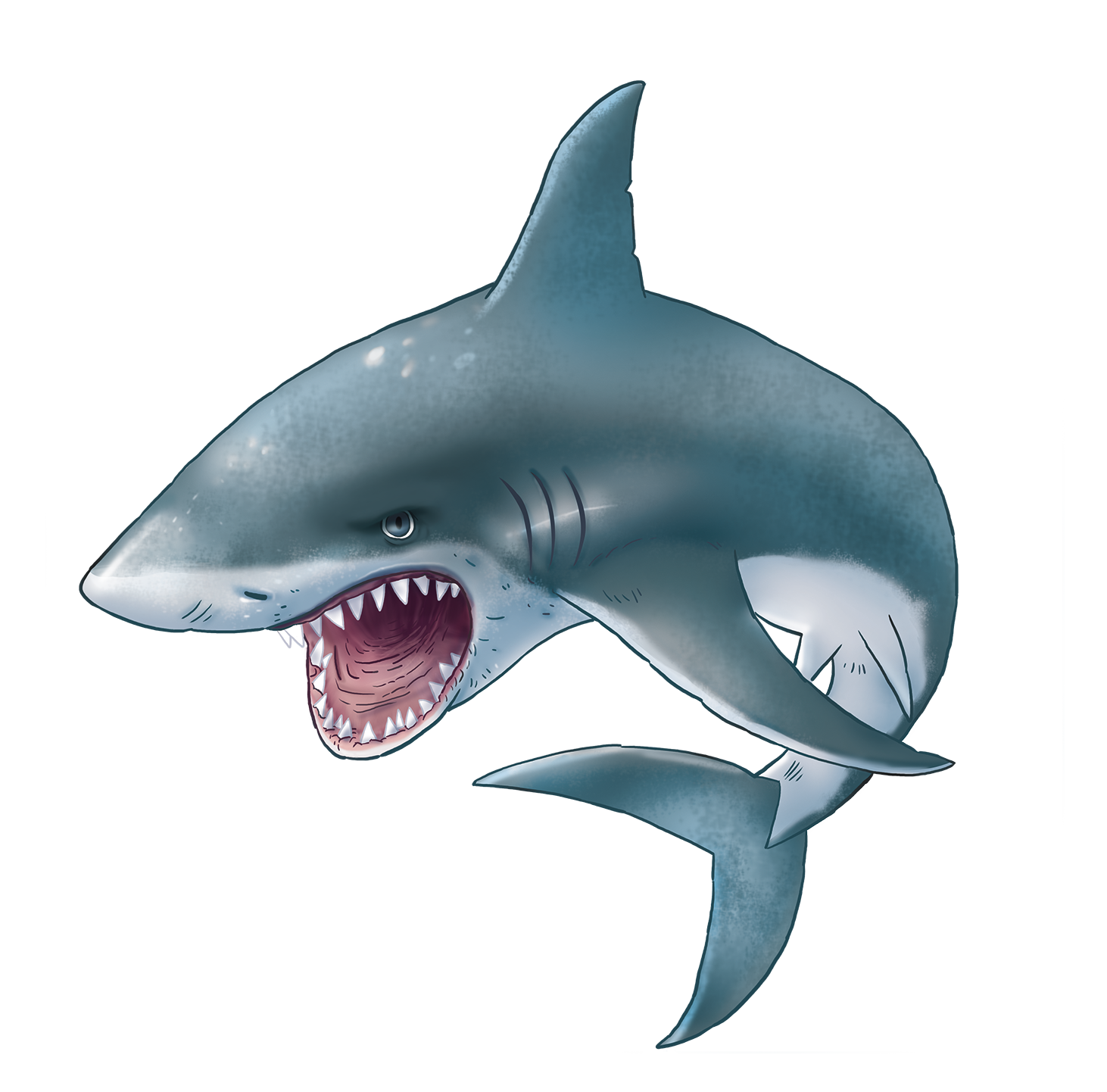 Shark Aquatic Nemo HQ Image Free PNG Image