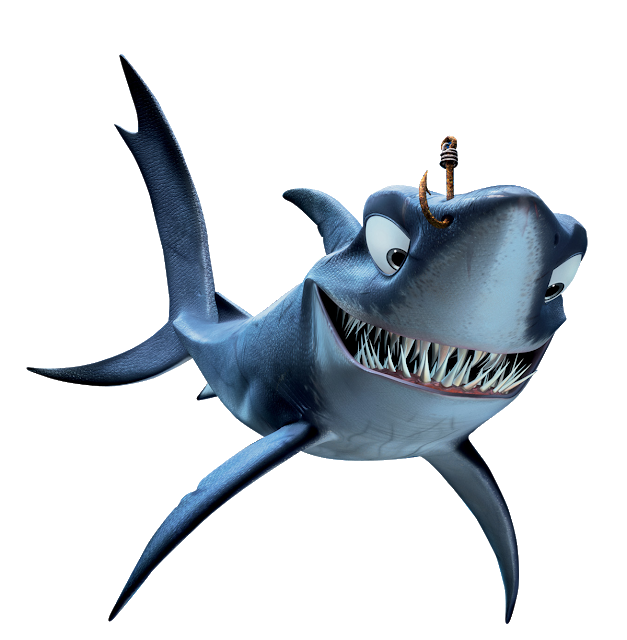 Photos Shark Aquatic Nemo Free Photo PNG Image