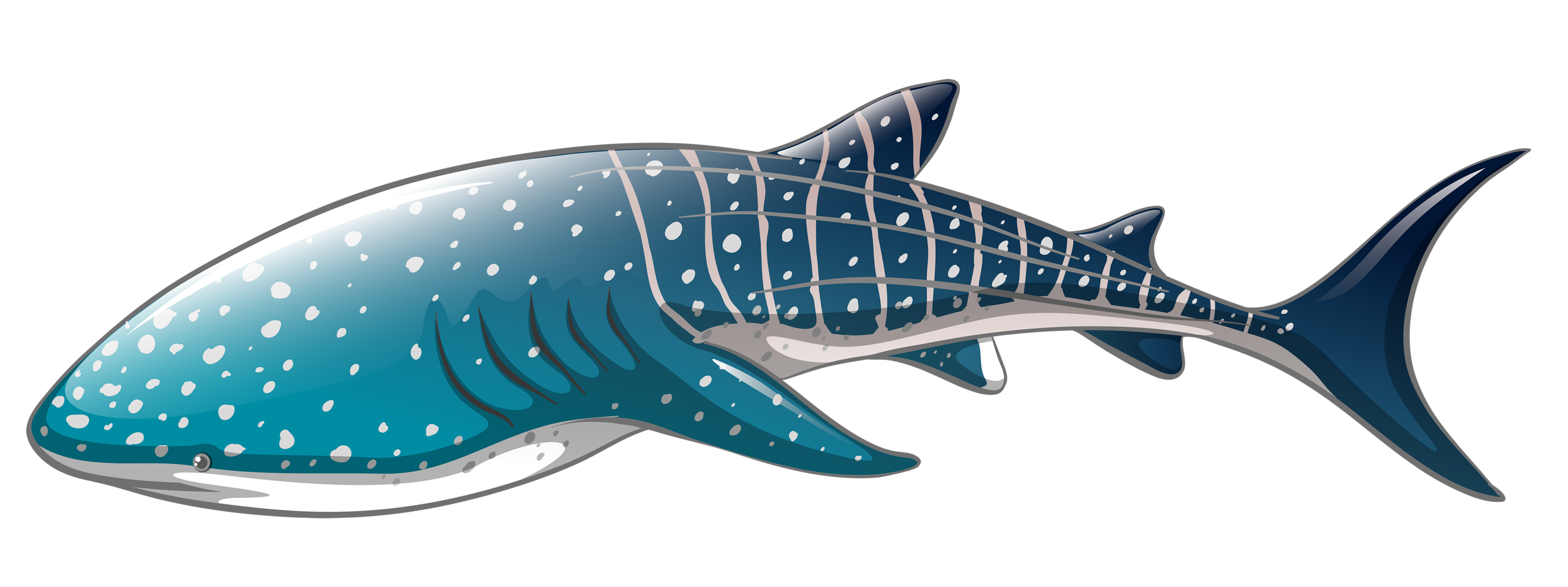 Blue Shark Nemo Download Free Image PNG Image