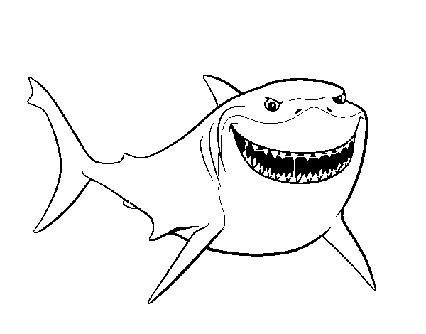 Pic Shark Vector Nemo Free Photo PNG Image