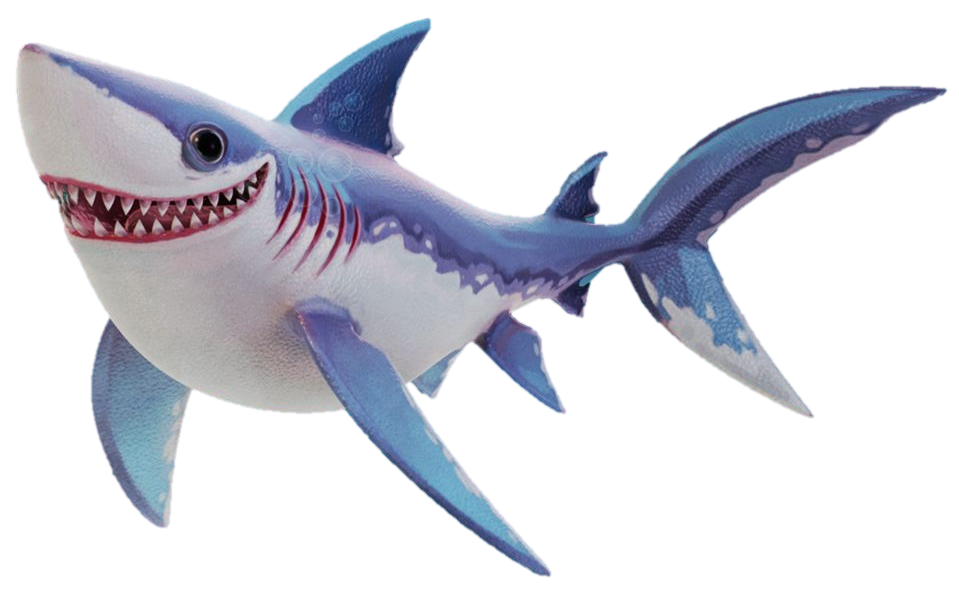 Blue Real Shark Download Free Image PNG Image