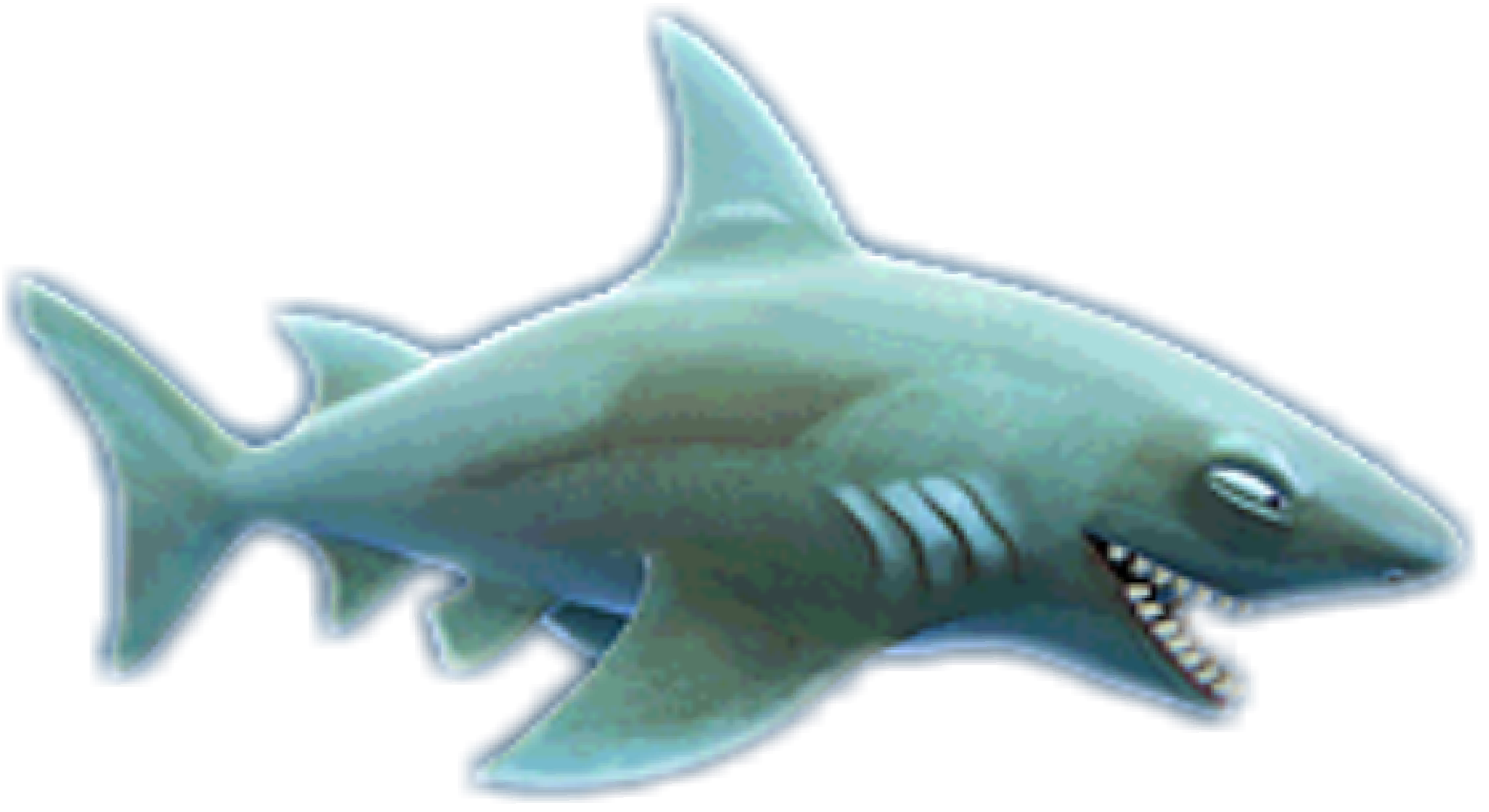 Real Shark Free Clipart HQ PNG Image