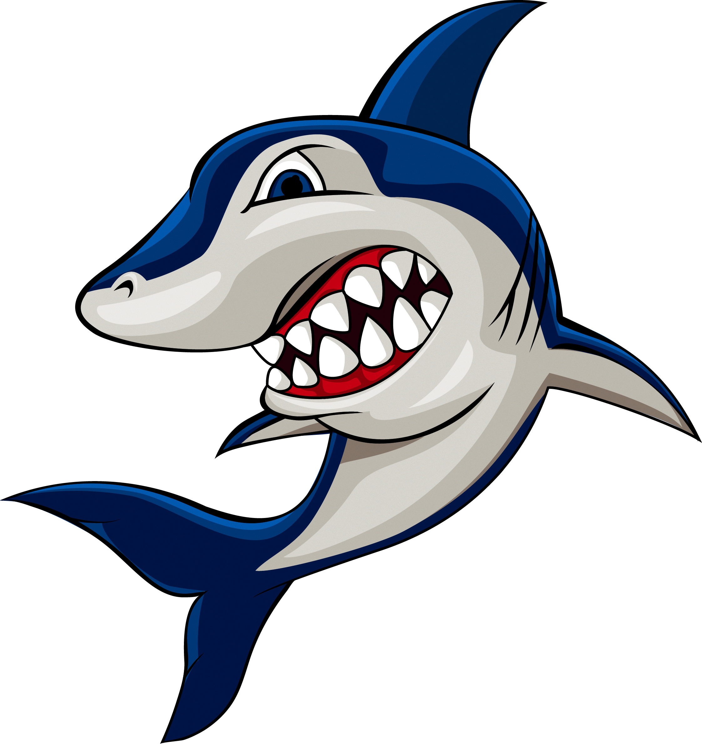 Shark Photography Cartoon Stock Free HQ Image PNG Image
