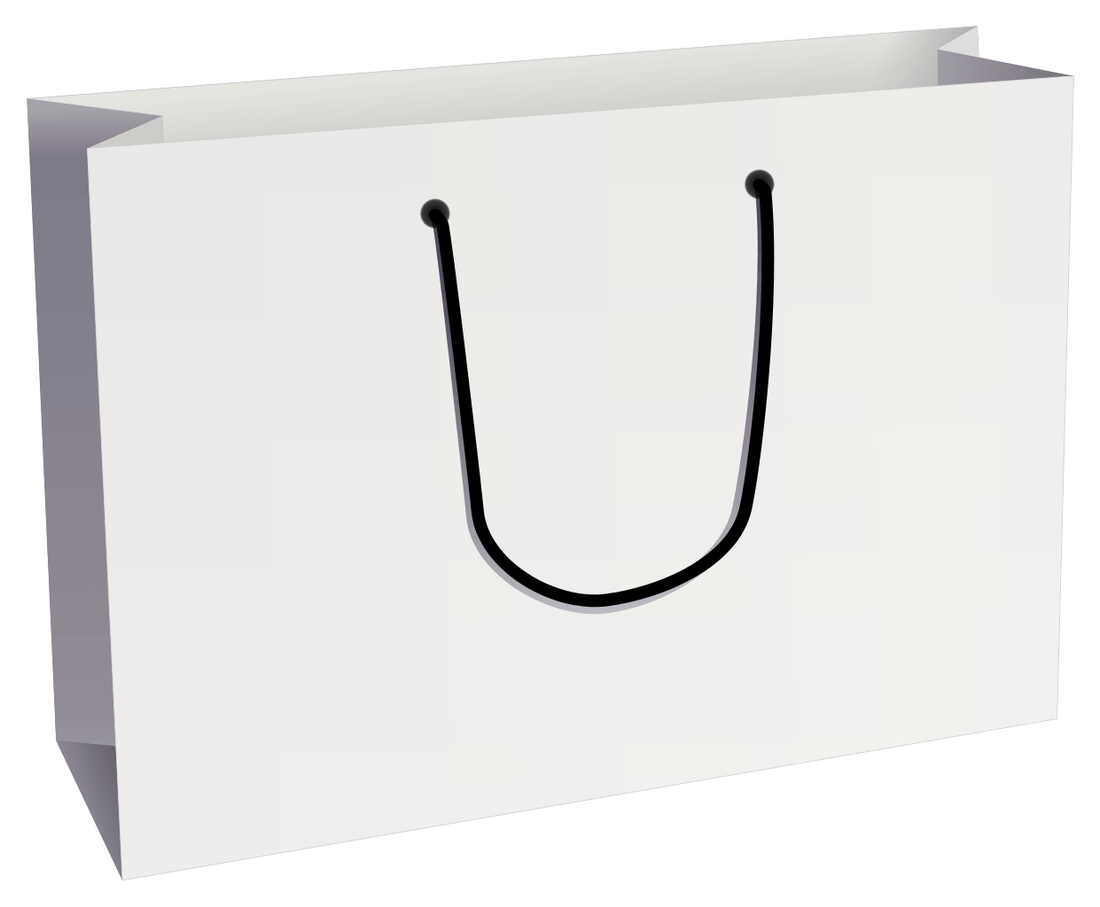 Shopping Bag Png Image PNG Image