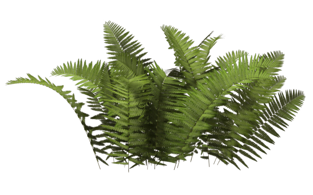 Bushes Png Clipart PNG Image