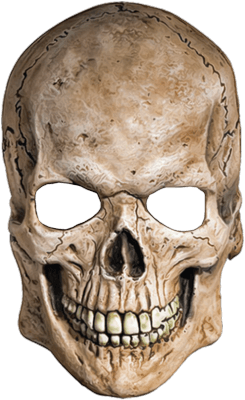 Skull Png Image PNG Image