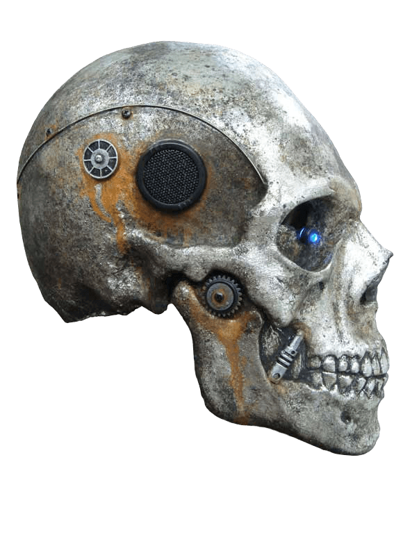 Skull Png Image PNG Image