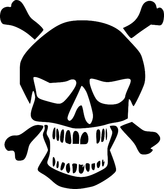 Skull Logo Png Image PNG Image