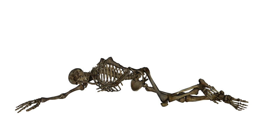 Skeleton Png Clipart PNG Image