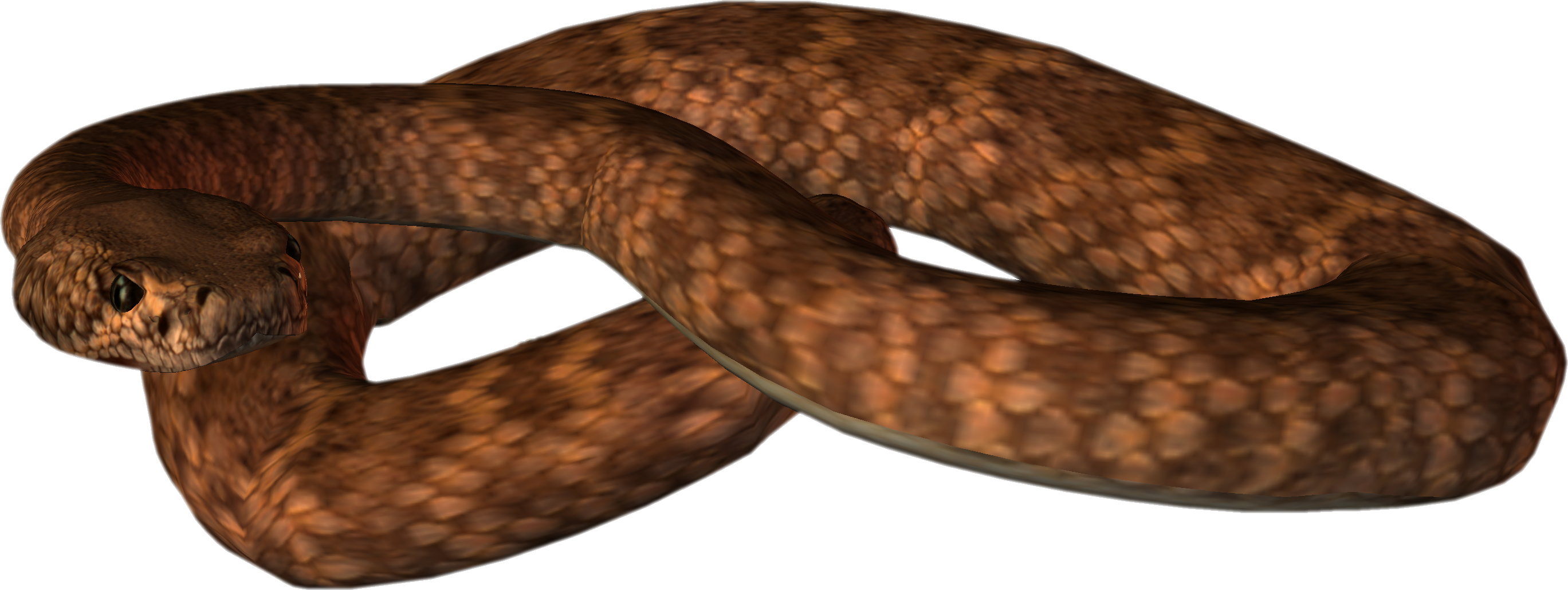 Snake Free Download Png PNG Image