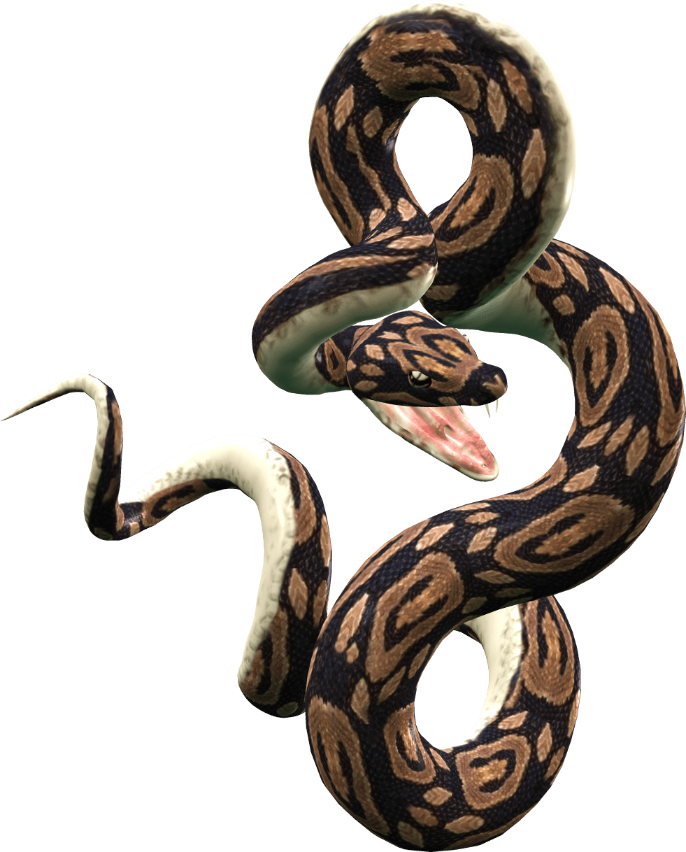 Snake Png Image Picture Download PNG Image