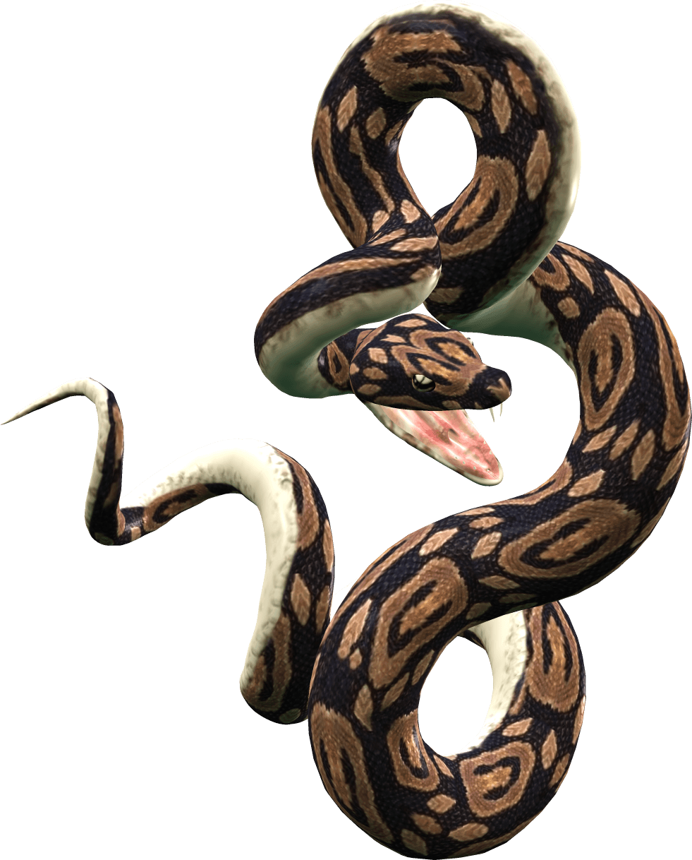 Snake Png Image Picture Download  PNG Image