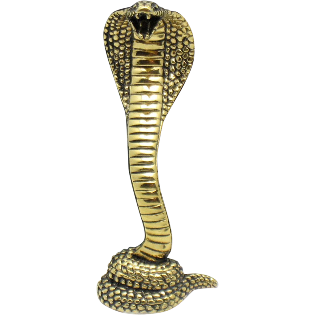 Cobra Snake Hd PNG Image