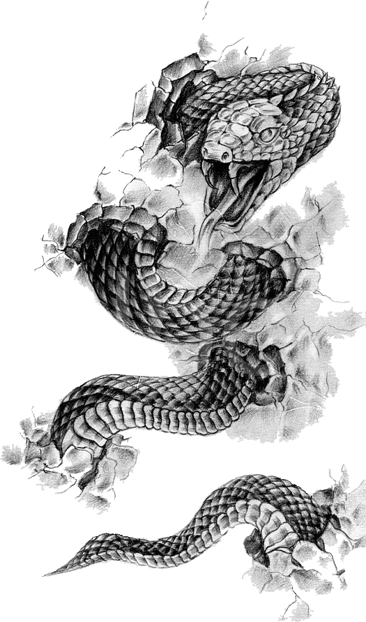 Tattoo Flash Rattlesnake Snake Black-And-Gray Free Download Image PNG Image