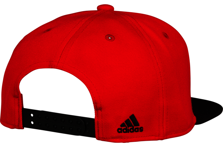 Snapback Image PNG Image