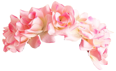 Snapchat Flower Crown PNG Image