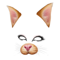 Filter on snapchat iphone