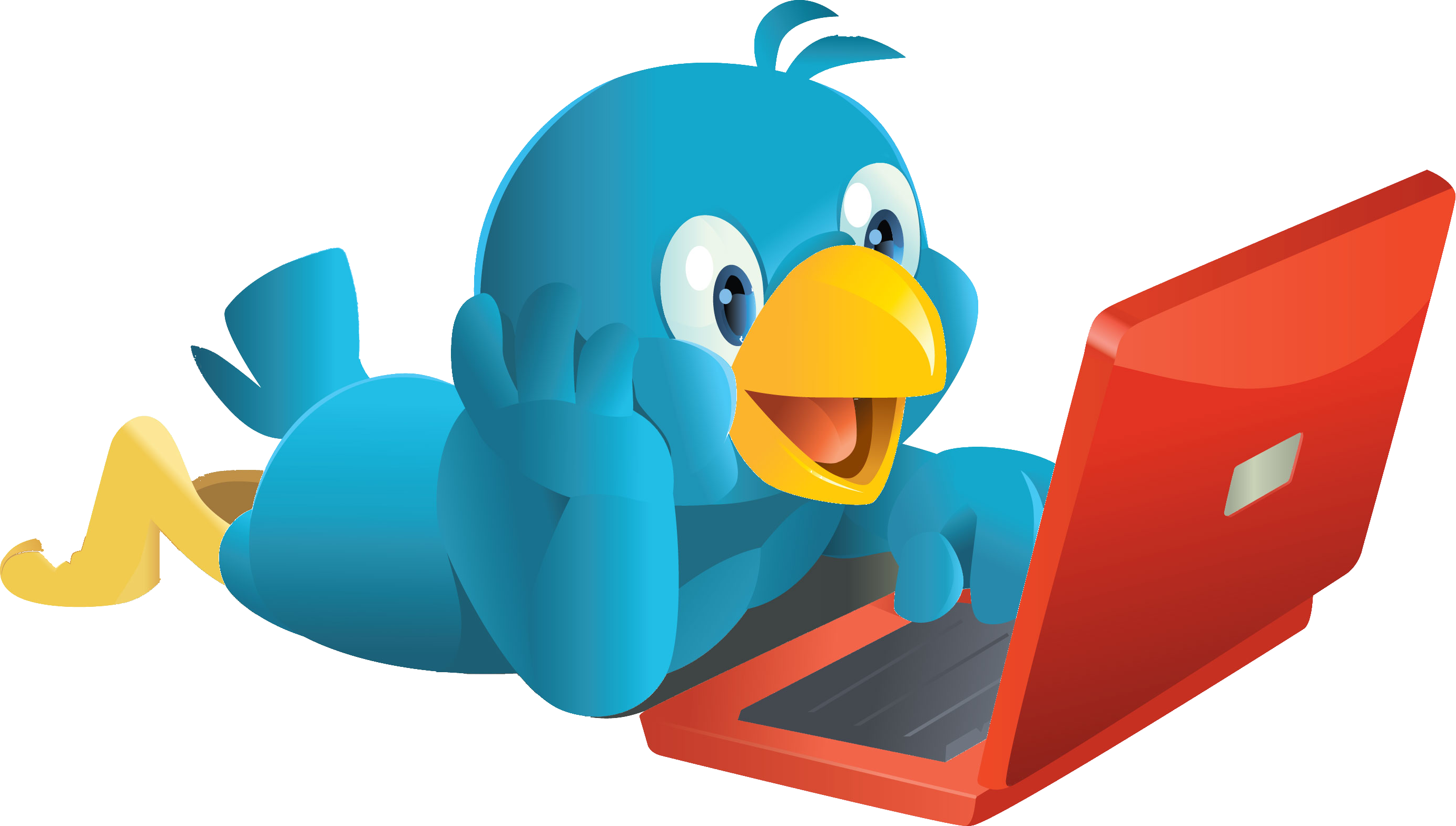 Networking Service Media Twitter User Social Bird PNG Image