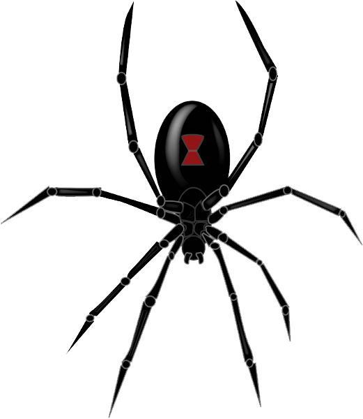 Black Widow Spider Clipart PNG Image