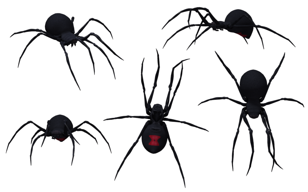 Download Black Widow Spider HQ PNG Image FreePNGImg.