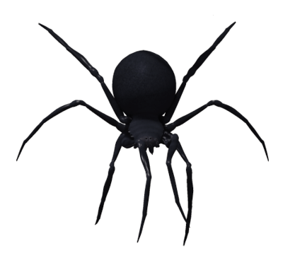Black Widow Spider Png Image PNG Image