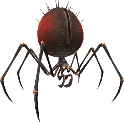 Spider Transparent PNG Image