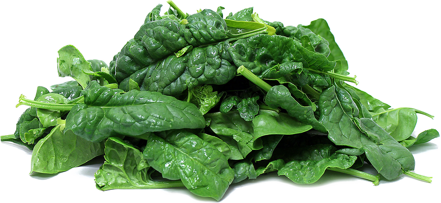 Fresh Green Spinach PNG Free Photo PNG Image
