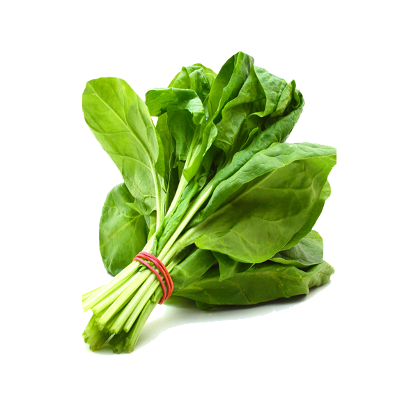 Fresh Green Spinach PNG File HD PNG Image