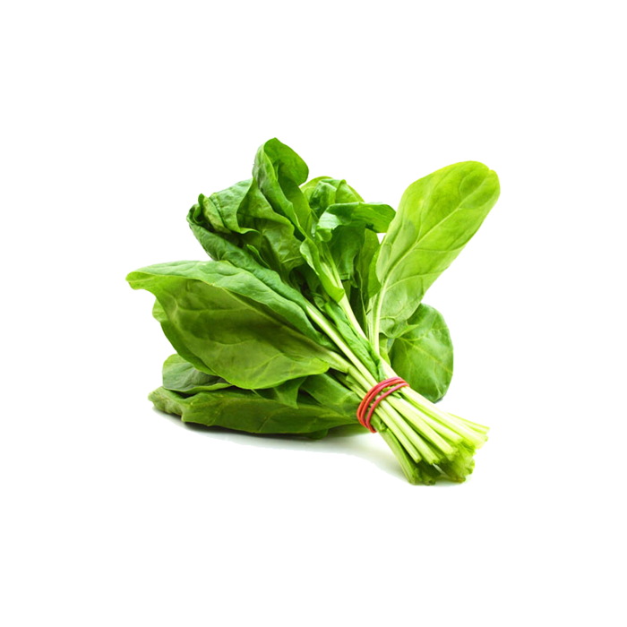 Fresh Green Spinach Download Free Image PNG Image