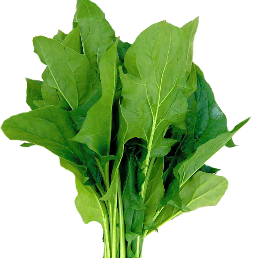 Leaves Green Spinach Free Clipart HQ PNG Image