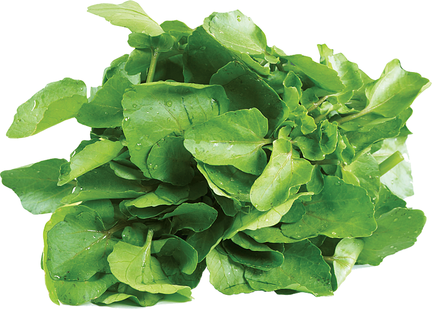 Green Organic Spinach Download HQ PNG Image