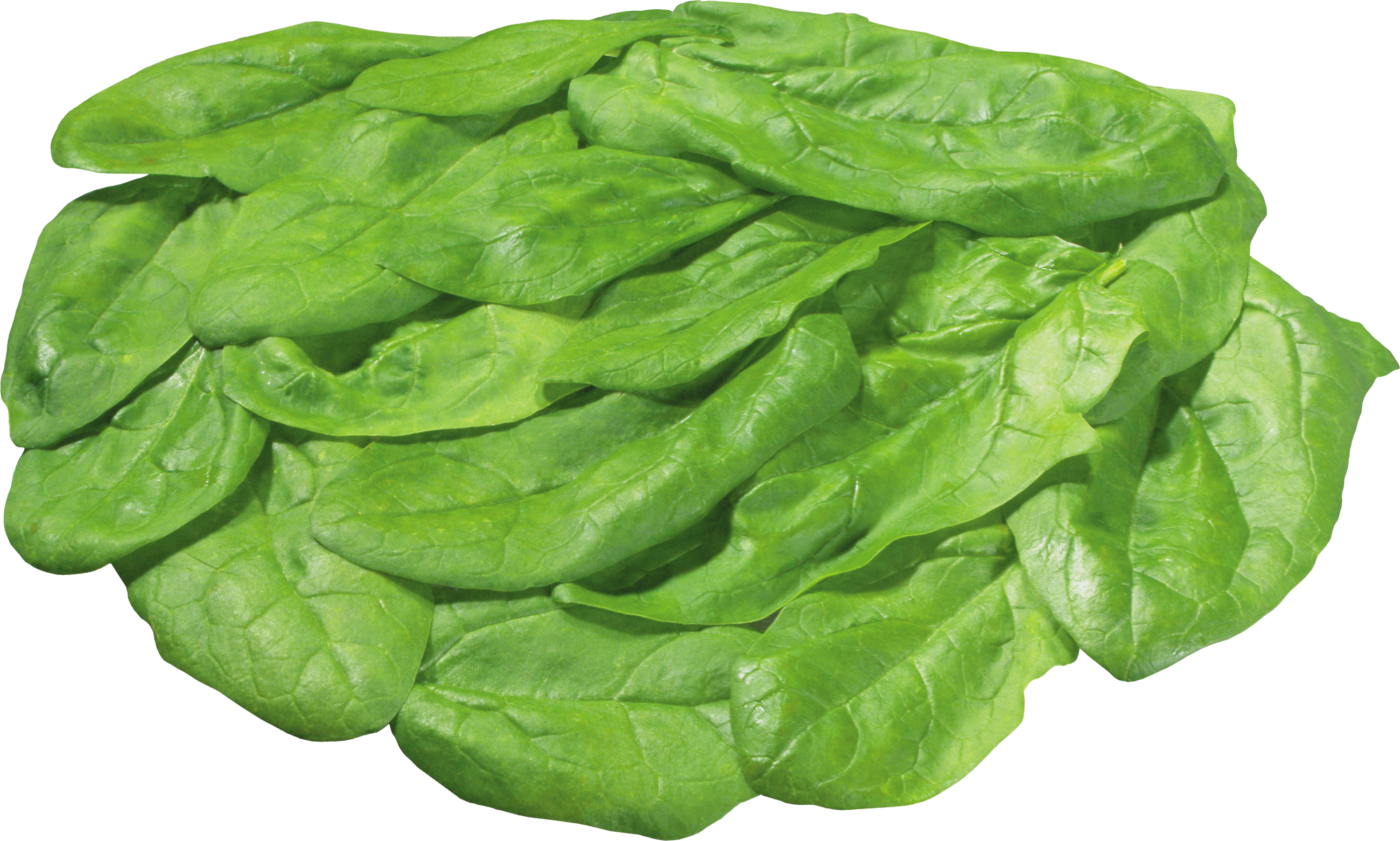 Green Organic Spinach Free HD Image PNG Image
