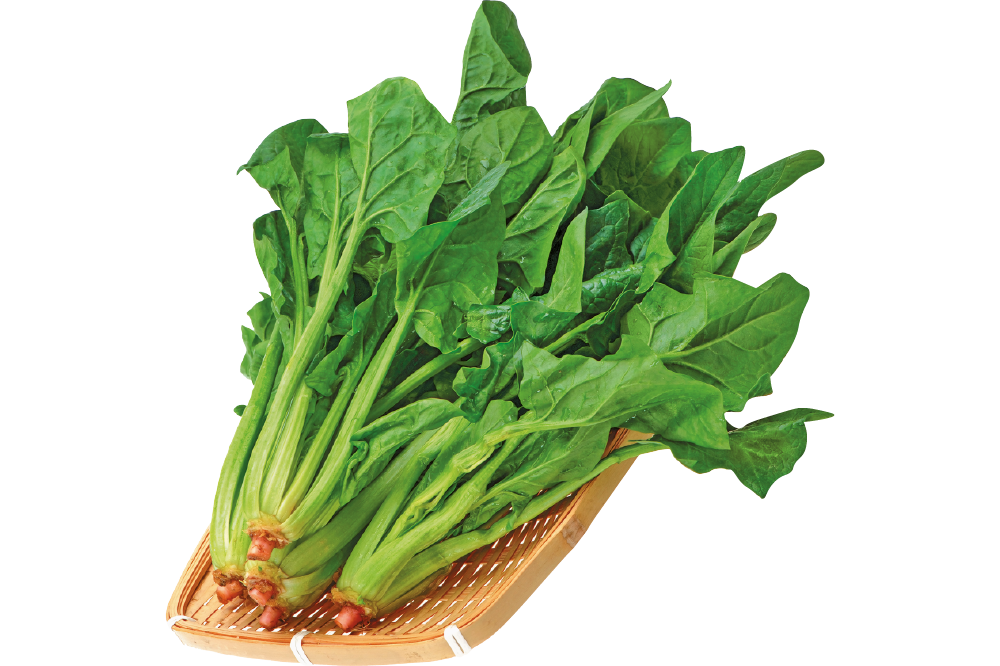 Chinese Spinach Free Download PNG HQ PNG Image