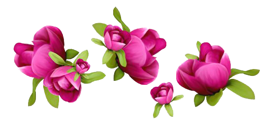 Spring Transparent PNG Image