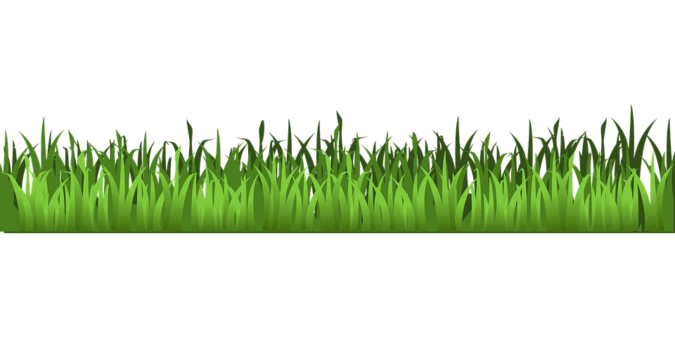 Spring Meadow HQ Image Free PNG Image