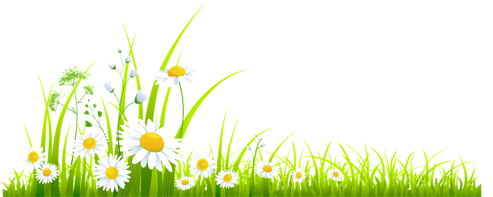 Spring Pic Meadow HQ Image Free PNG Image