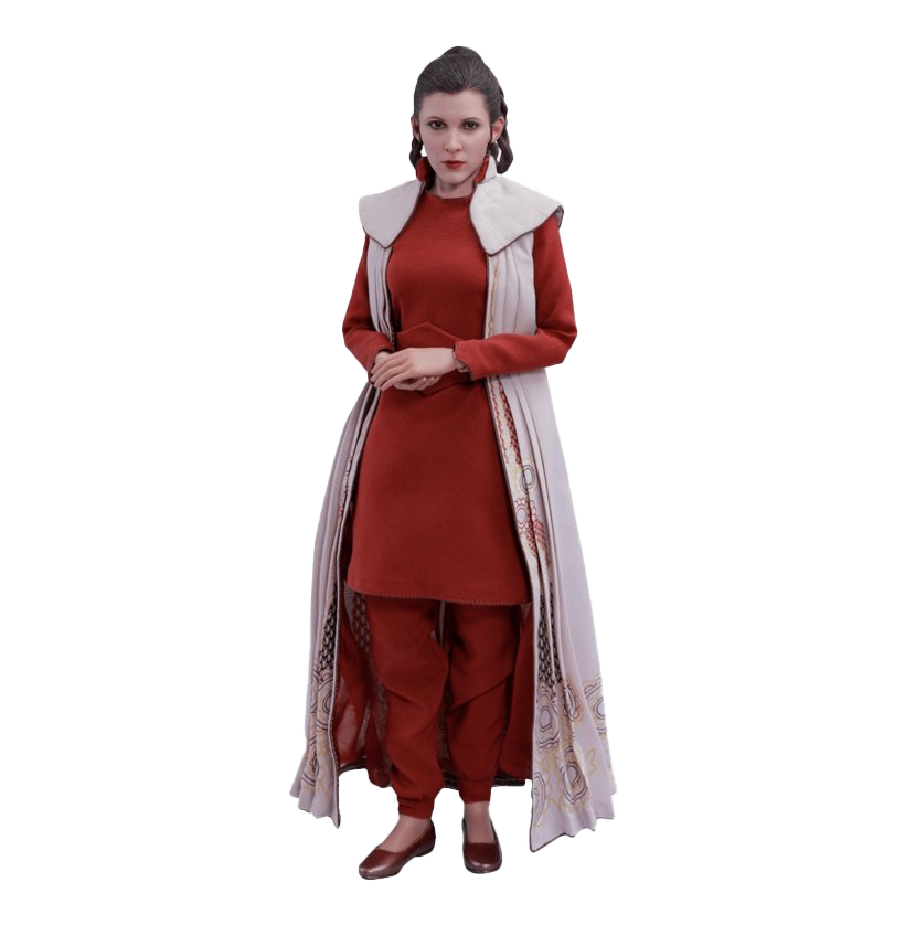 Leia Pic Princess Free Clipart HQ PNG Image