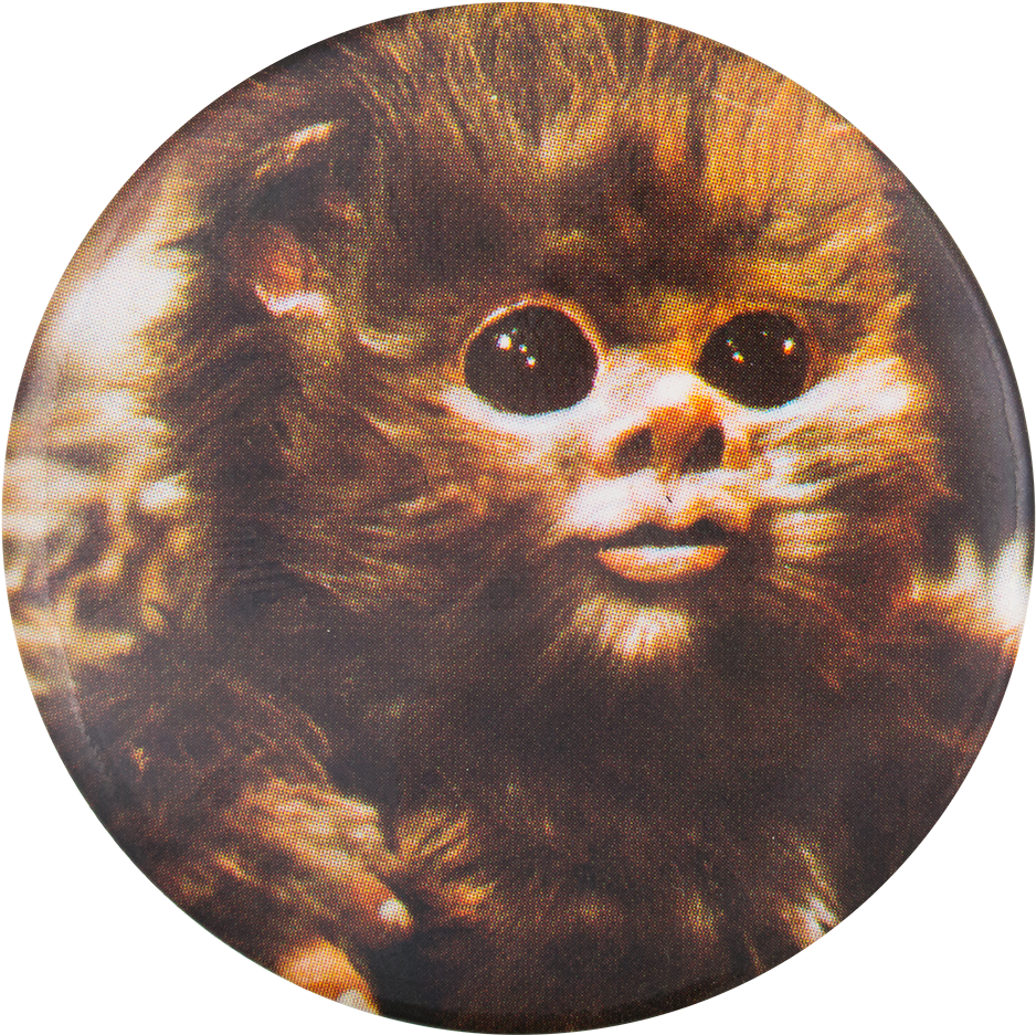 Ewok Free HQ Image PNG Image