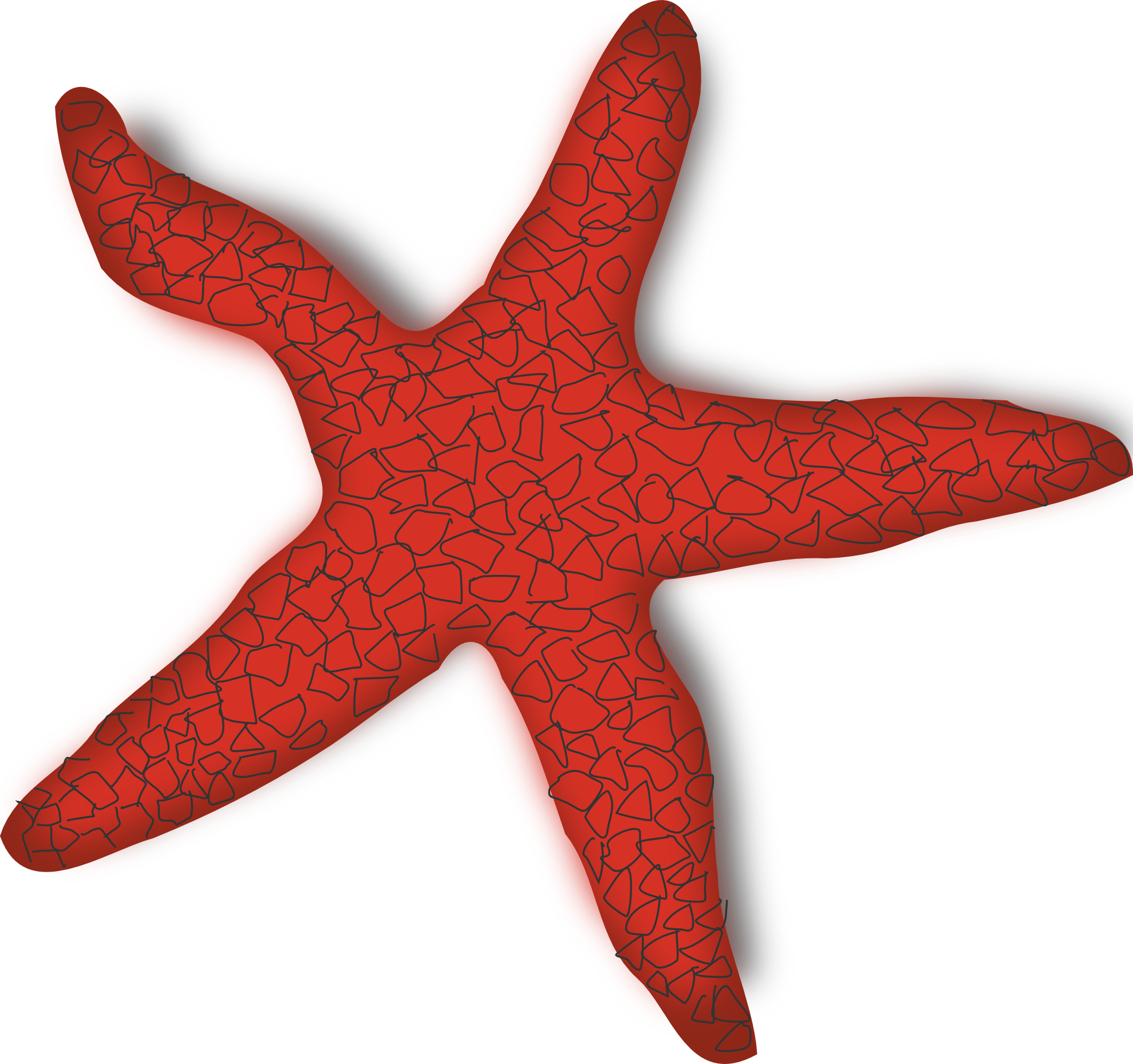 Starfish Png File PNG Image