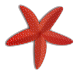 Starfish Free Download Png PNG Image