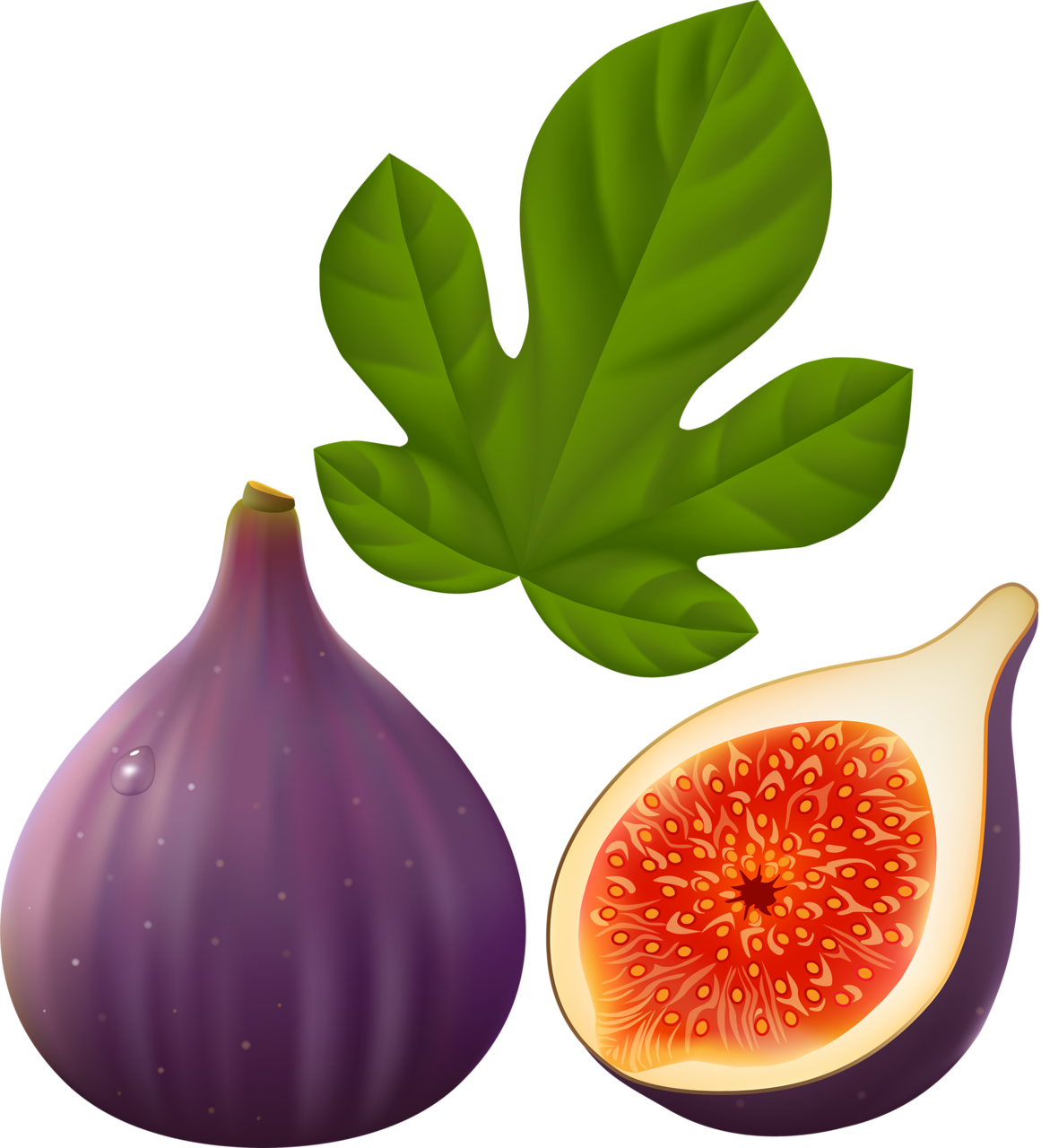 Fig HQ Image Free PNG Image